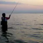 Maryland fishing license