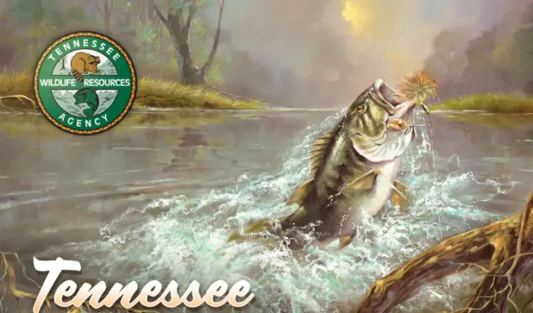 tennessee-fishing-license