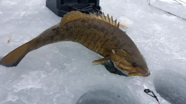 best ice fishing in the usa